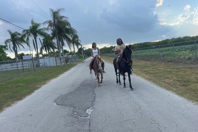 Horseback Experience in Miami - Exploring the Horseback Experience in Miami: An In-Depth Review