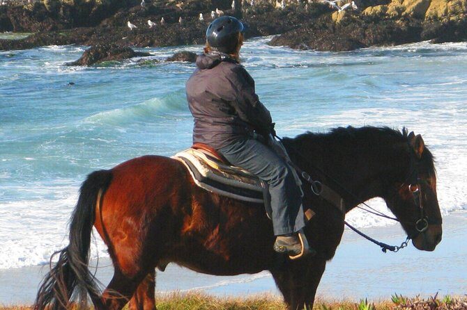 Horseback Ride & Alcatraz Prison Tickets - What to Expect at Each Stop