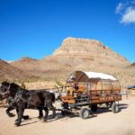 Horseback Ride Joshua Tree Forest Buffalo Lunch Singing Cowboy - Authenticity and Value