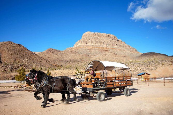 Horseback Ride Joshua Tree Forest Buffalo Lunch Singing Cowboy - Authenticity and Value