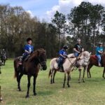 Horseback Ride on Scenic Lake Louisa Trails - Exploring the Trail Experience in Detail