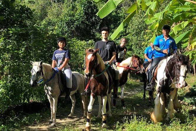 Horseback Riding 1 hour trail - Who Should Consider This Experience?