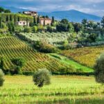 Horseback Riding and Wine Tasting Tour - Who Will Appreciate This Tour?