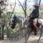 Horseback Riding Experience in Sierra Madre Mountains - Who Would Love This Tour?
