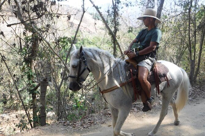 Horseback Riding Experience in Sierra Madre Mountains - Who Would Love This Tour?
