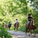 Horseback-Riding in a Country Side in Sapporo - Private Transfer is Included - What Travelers Love About This Tour