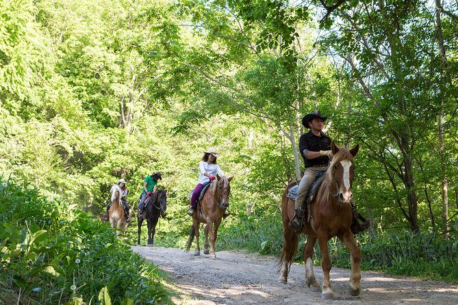 Horseback-Riding in a Country Side in Sapporo - Private Transfer is Included - What Travelers Love About This Tour