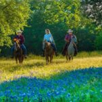 Horseback Riding on Scenic Texas Ranch near Waco - Discovering the Waco Horseback Riding Experience