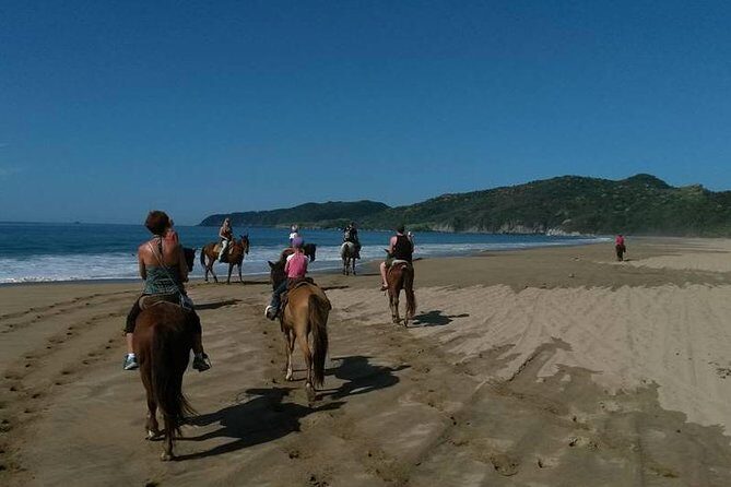 Horseback Riding on the Beach - Key Points