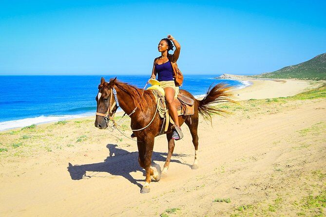 Horseback Riding Tour in Los Cabos - Breaking Down the Experience