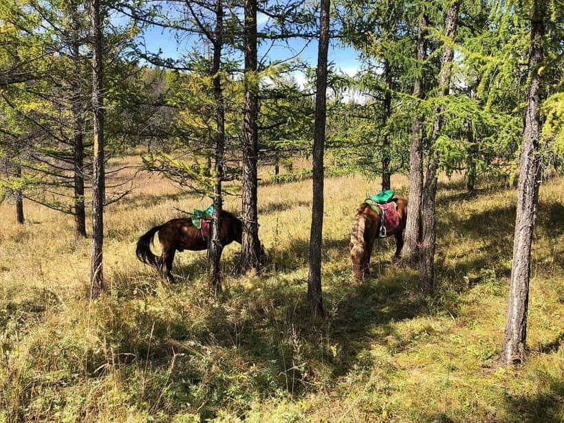 Horseback Riding Tour to Turtle Rock & Aryabal - FAQ