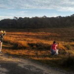 Horton plains: Discover real essence of central highland - A Deep Dive into the Experience