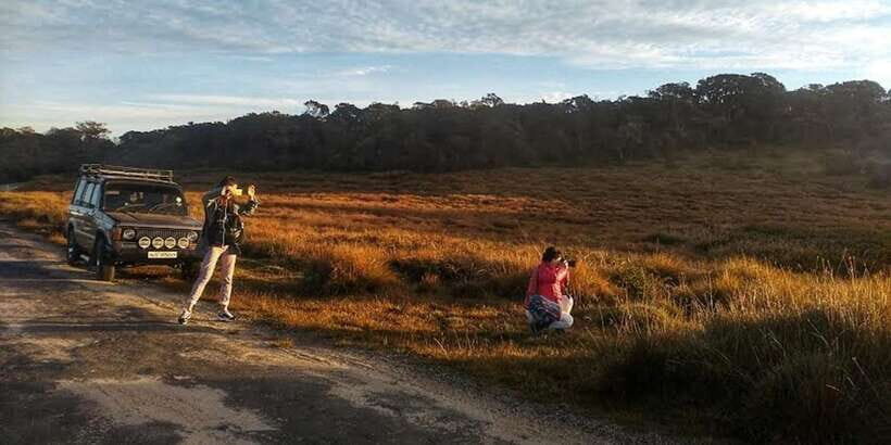 Horton plains: Discover real essence of central highland - A Deep Dive into the Experience