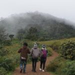 Horton Plains National park - Authentic Experiences Backed by Positive Reviews