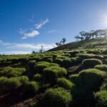 Horton Plains National Park Entrance Ticket with Guide - The Trail: What to Expect