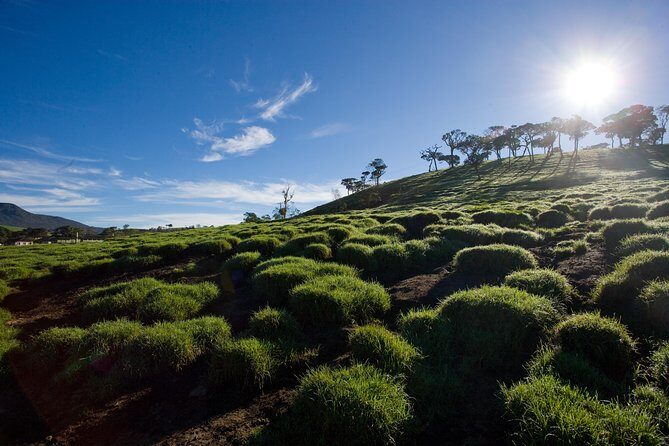 Horton Plains National Park Entrance Ticket with Guide - The Trail: What to Expect
