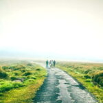 Horton Plains National Park From Nuwara Elia Tuk Tuk Tour - Who Should Consider This Tour?