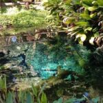 Hot! Doisuthep Temple+Wat Palad+Sticky waterfall - Why This Tour Delivers Value