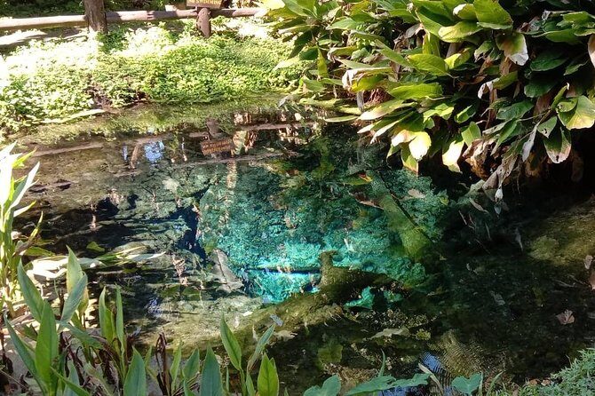 Hot! Doisuthep Temple+Wat Palad+Sticky waterfall - Why This Tour Delivers Value