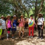 Hot Springs Horseback Riding Adventure - An In-Depth Look at the Hot Springs Horseback Riding Adventure