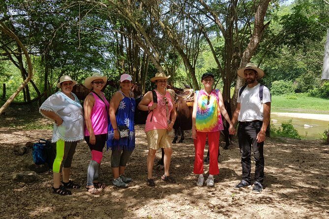 Hot Springs Horseback Riding Adventure - An In-Depth Look at the Hot Springs Horseback Riding Adventure