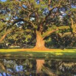 Houmas House Plantation Guided Tour - Who Would Love This Tour?
