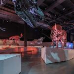 Houston Museum of Natural Science General Admission - Who Will Love This Experience?