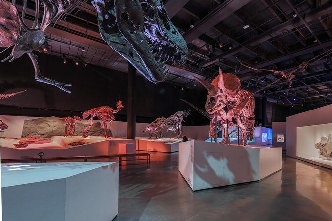 Houston Museum of Natural Science General Admission - Who Will Love This Experience?