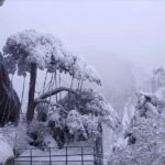 Huangshan: Mountain Top Day Trip with Cable Car and Pickup - Why We Think You’ll Love It