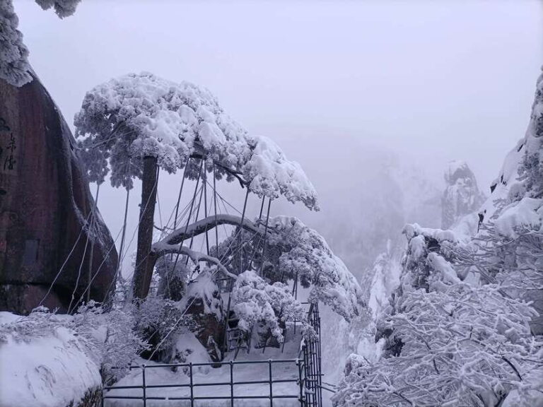 Huangshan: Mountain Top Day Trip with Cable Car and Pickup - Why We Think You’ll Love It
