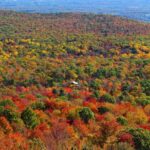 Hudson Valley Fall Foliage Helicopter Tour from Westchester (Shared) - A Closer Look at the Hudson Valley Fall Foliage Helicopter Tour