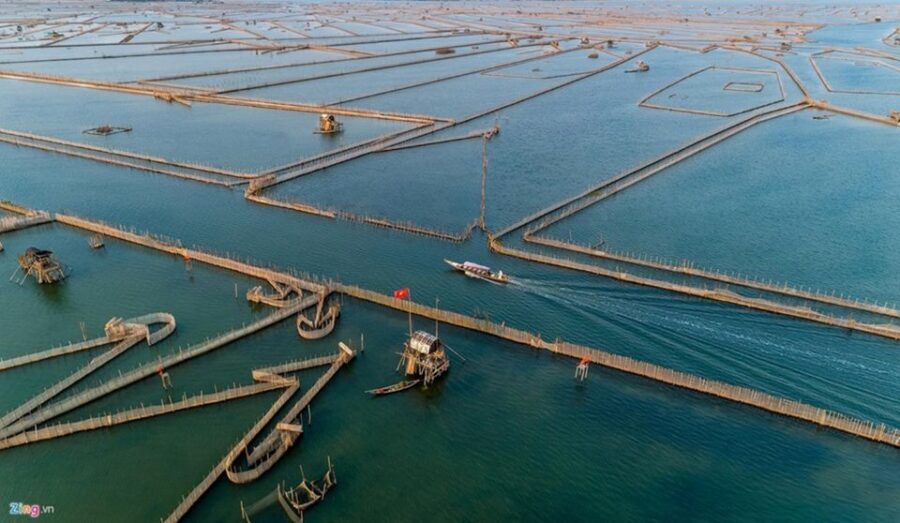 Hue: Half-Day Yellow Tam Giang Lagoon Sunset Tour - A Seafood Feast and Sunset Splendor