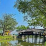 Hue Hoi An Bus Tour Sightseeing via Hai Van Pass 4 Stops - In-Depth Review of the Hue-Hoi An Bus Tour via Hai Van Pass