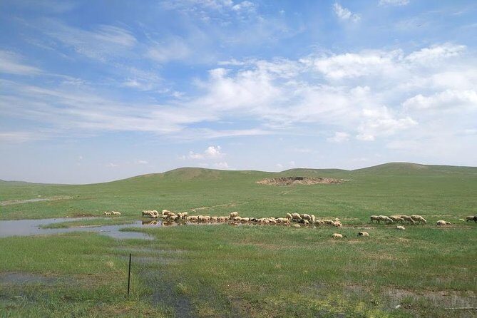 Huhhot 4D3N Inner Mongolia Grassland and desert nature tours - The Sum Up