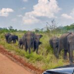 Hurulu Eco Park Private Safari - FAQs