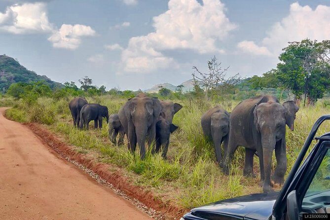 Hurulu Eco Park Private Safari - FAQs