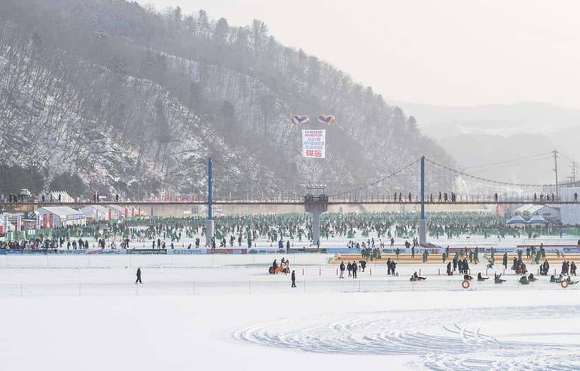 Hwacheon Ice Fishing Festival Day Tour (+Eobi Ice Valley) - Who Would Love This Tour?