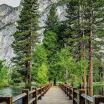 Hwy 140 Route Glacier Point and Yosemite Valley Small Group Tour - What to Expect During the Day
