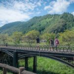 Hyogo E-Bike tour through rural Japan - Authentic Experiences That Shine