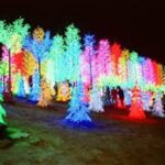 I-City Night Tour - Key Points