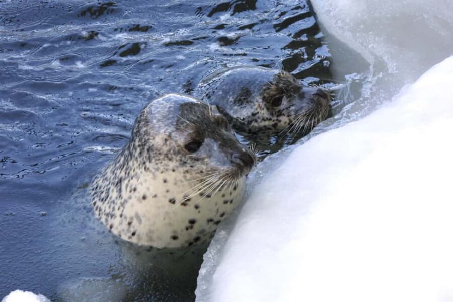 Icebreaker GARINKO GO III Cruise Explore Ice and Snow Tour - The Itinerary in Detail
