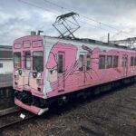 Iga: Full-Day Private and Unique Guided Ninja Experience - Final Thoughts