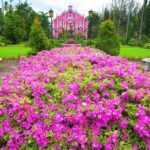 Immerse in Culture: Villa Escudero Coconut Plantation Experience - The Cultural Show and Local Serenades
