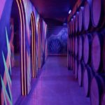 Immersive Experience & Tequila Tasting in Puerto Vallarta - Practical Details and Considerations
