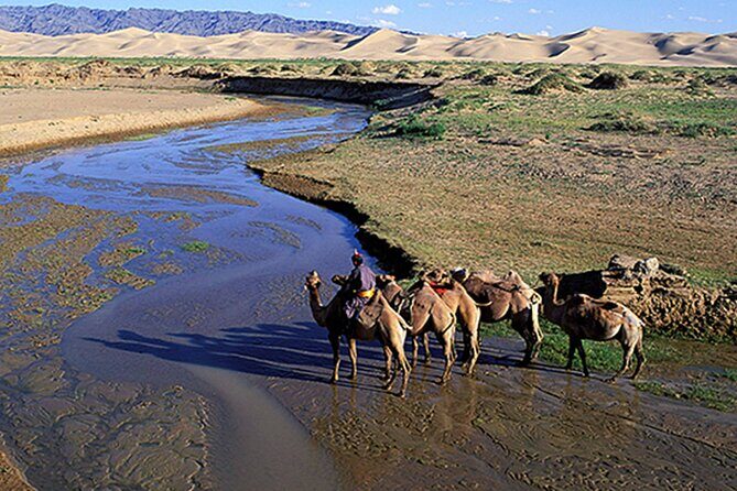 Immersive Mongolian Gobi experience, Camel, Cousine, Stargaze, 2D - Analyzing the Value
