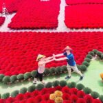 Incense Village, Hat & Lacquer Artisanal Tour Options From Hanoi - Who Should Consider This Tour?