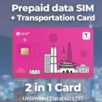 Incheon Airport: Traveler SIM & T-money Transportation Card - A Closer Look: What to Expect at Incheon Airport