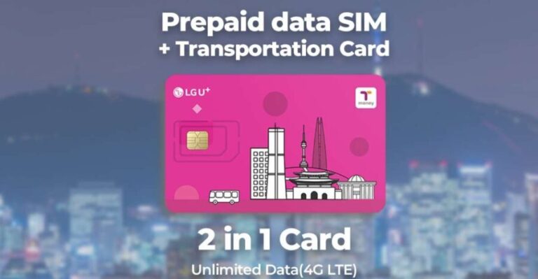 Incheon Airport: Traveler SIM & T-money Transportation Card - A Closer Look: What to Expect at Incheon Airport