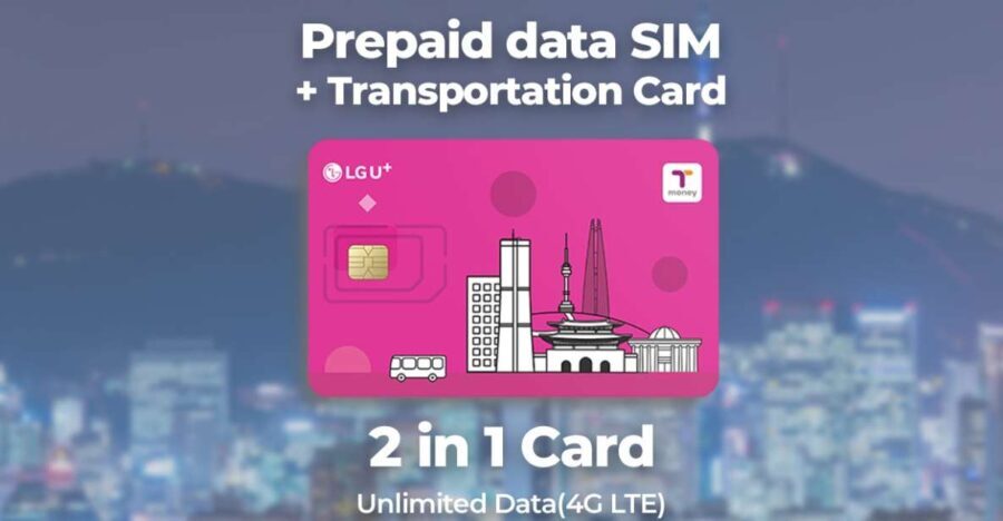 Incheon Airport: Traveler SIM & T-money Transportation Card - A Closer Look: What to Expect at Incheon Airport
