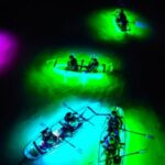 Inclusive Glass Boat Rental Peanut Island Snorkel Gear & Snacks - What the Tour Includes and What to Keep in Mind